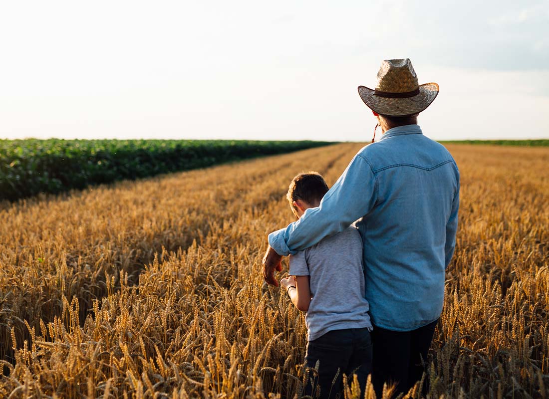 Farm Insurance - Portrait of Farmer and His Son Walking along Their Fields of Wheat with Back Towards Camera